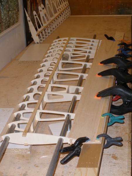 Olaf6_wing_4